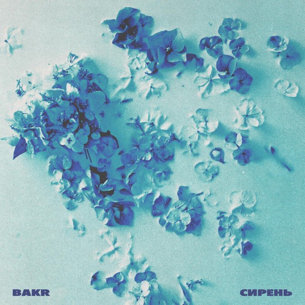 Bakr — Сирень