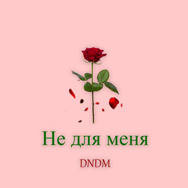 DNDM — Не для меня