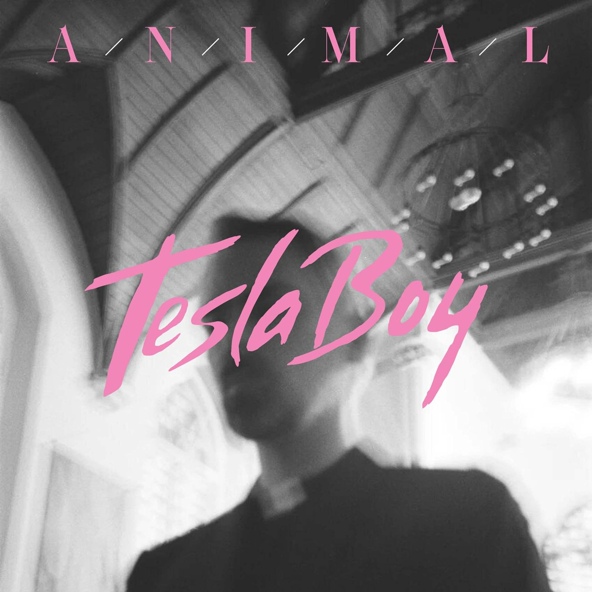 Tesla Boy — Animal