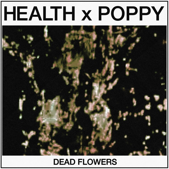 HEALTH — DEAD FLOWERS