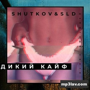 Shutkov Sld — Дикий кайф