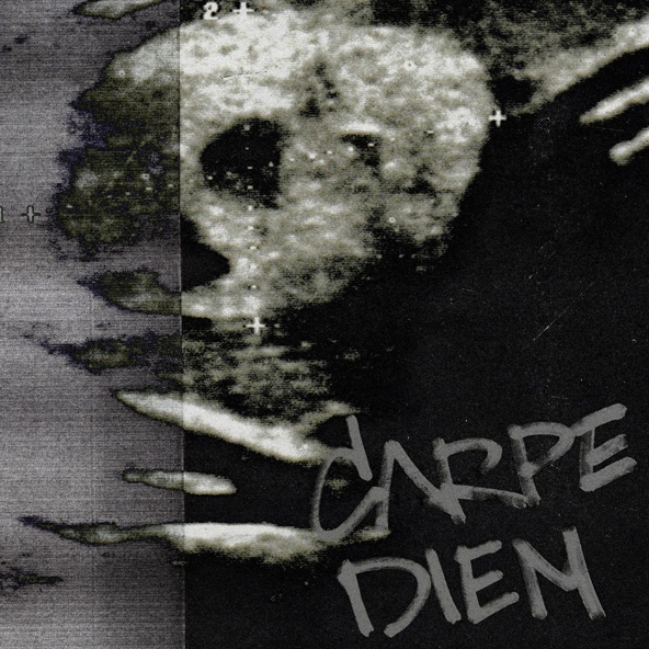 Sted.d — CARPE DIEM