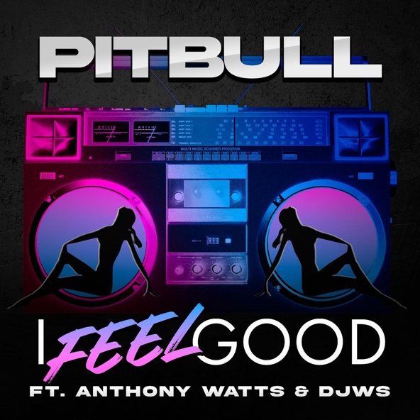 Pitbull — I Feel Good