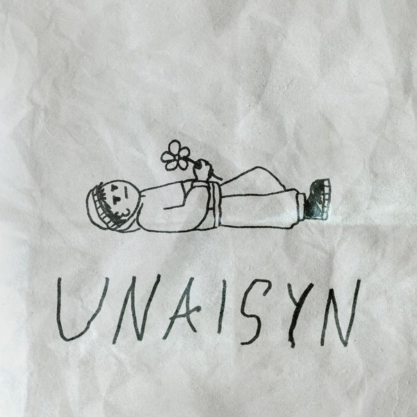 De Lacure — Unaisyn