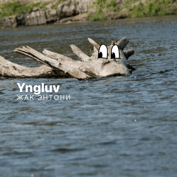 yngluv — Дерево